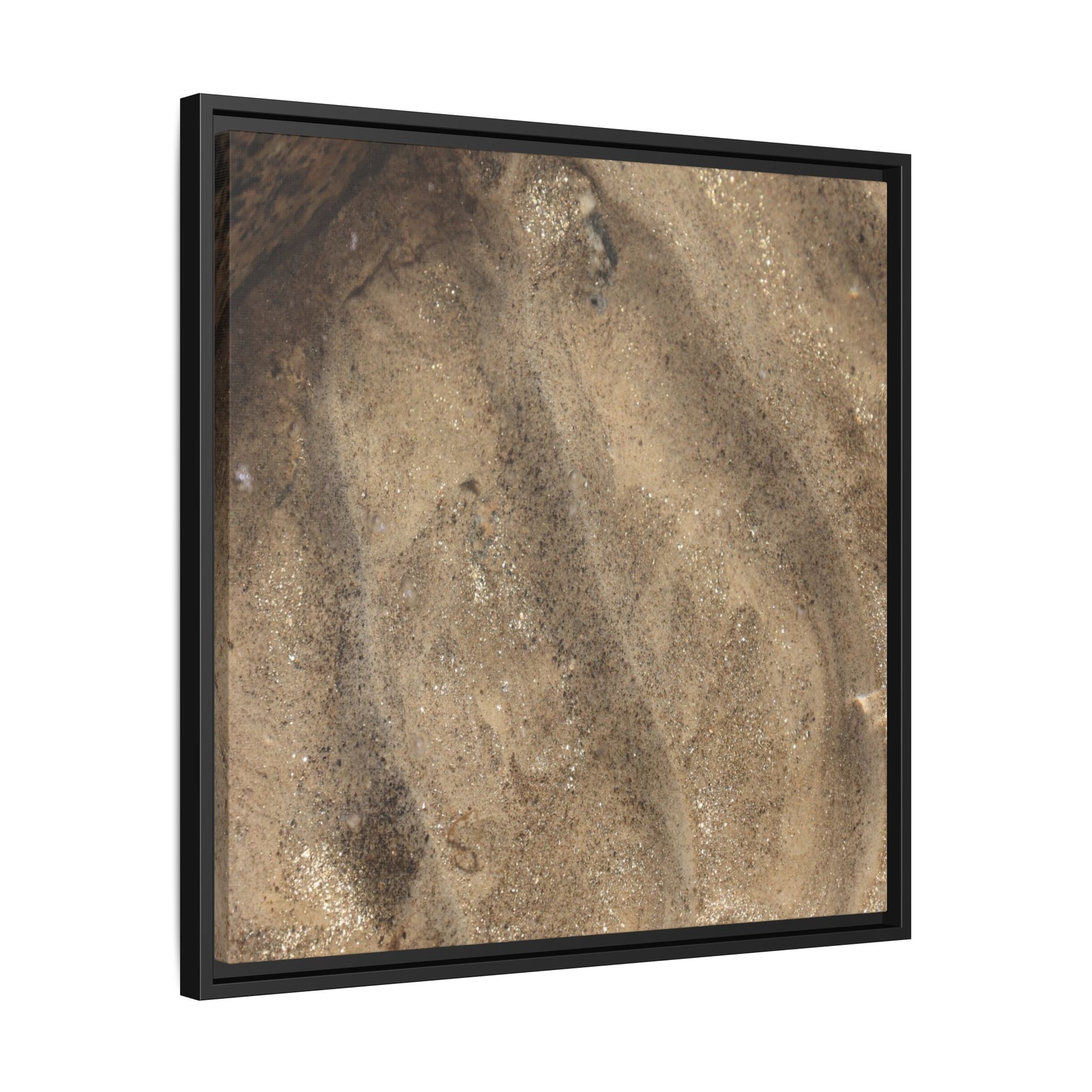 Tidal Pool Secrets - Unique Stretched Canvas Wall Art - Art By Earth