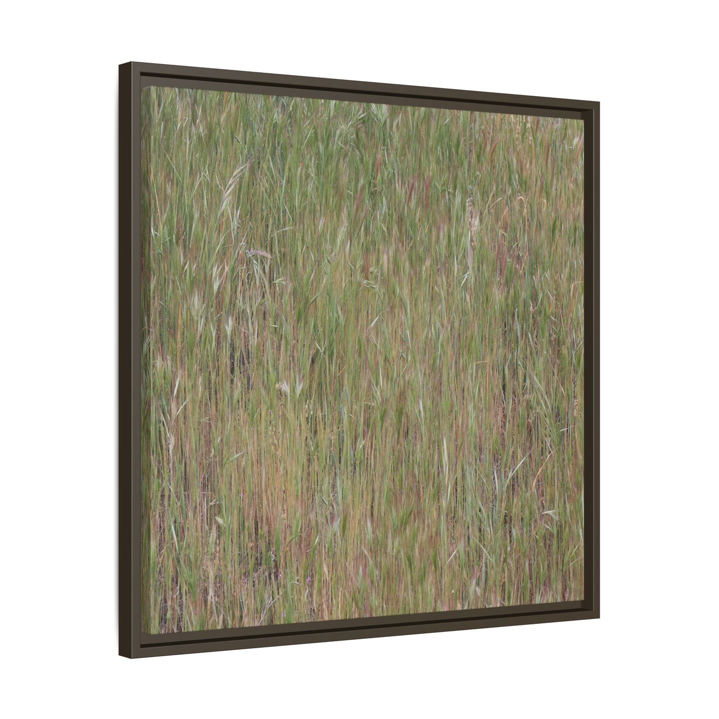 Field of Dreams - Unique Stretched Canvas Wall Art - Art By Earth