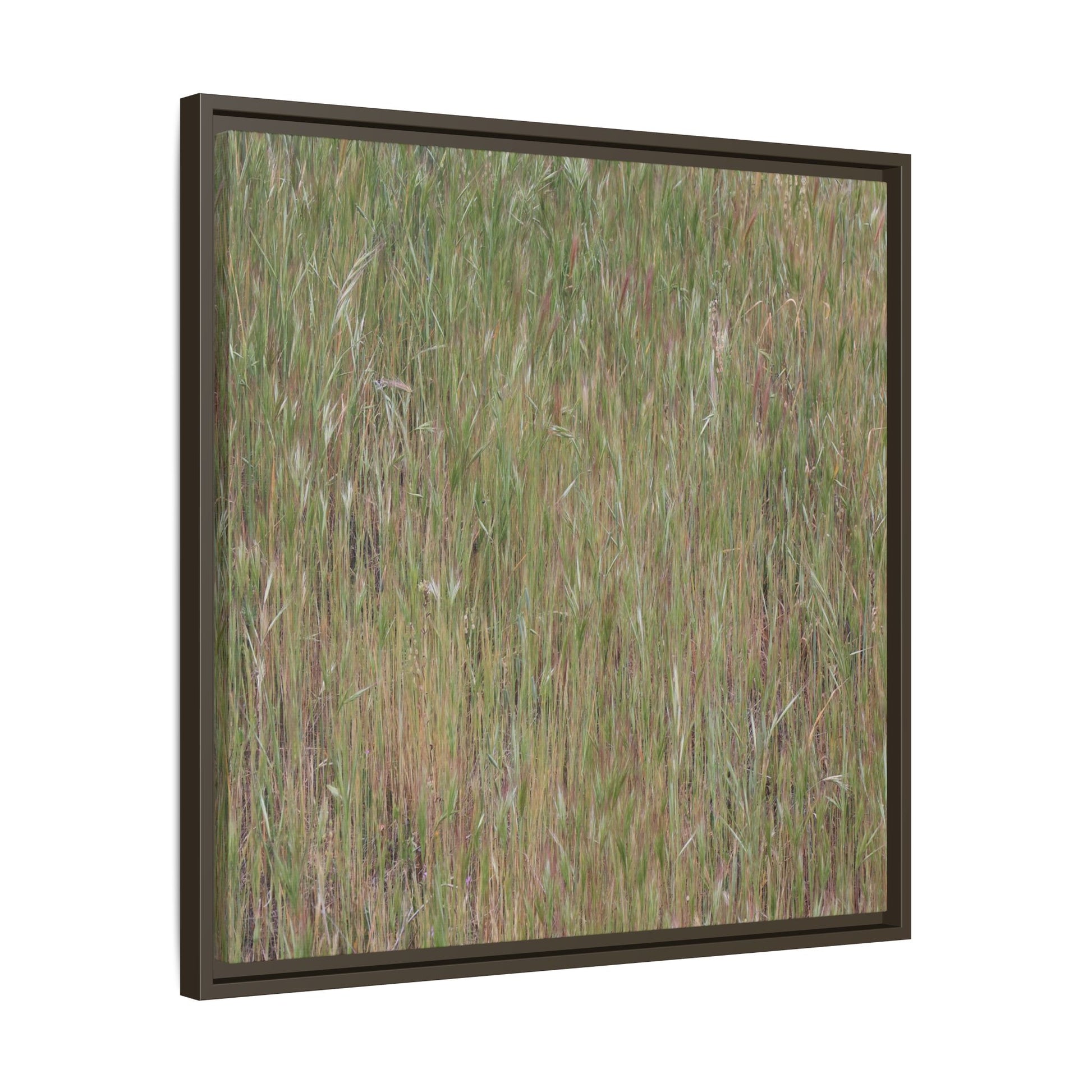 Field of Dreams - Unique Stretched Canvas Wall Art - Art By Earth