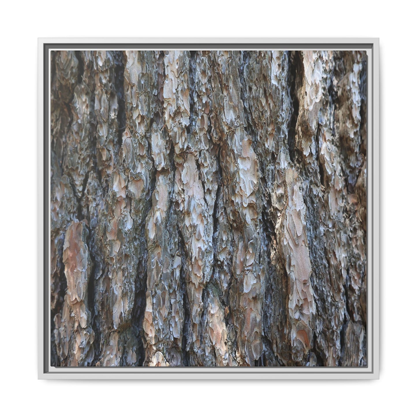 Bark Whispers - Unique Stretched Canvas Wall Art - Art By Earth