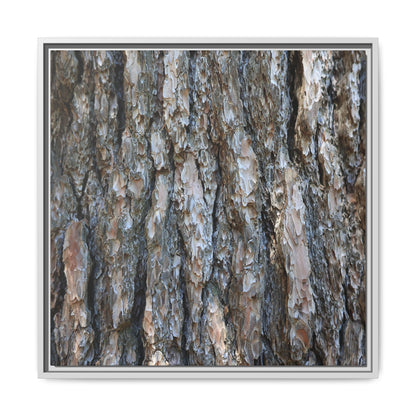 Bark Whispers - Unique Stretched Canvas Wall Art - Art By Earth