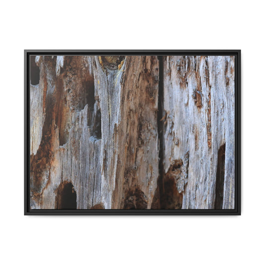 Decaying Splendor - Unique Stretched Canvas Wall Art - Art By Earth