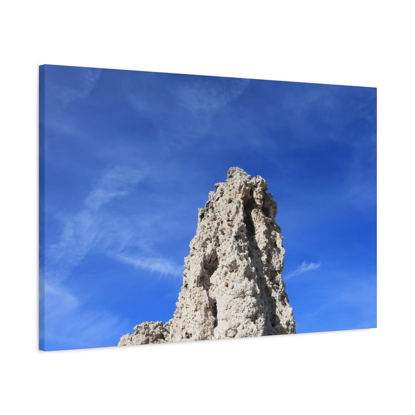 Reaching Skyward - Unique Frameless Canvas Wall Art