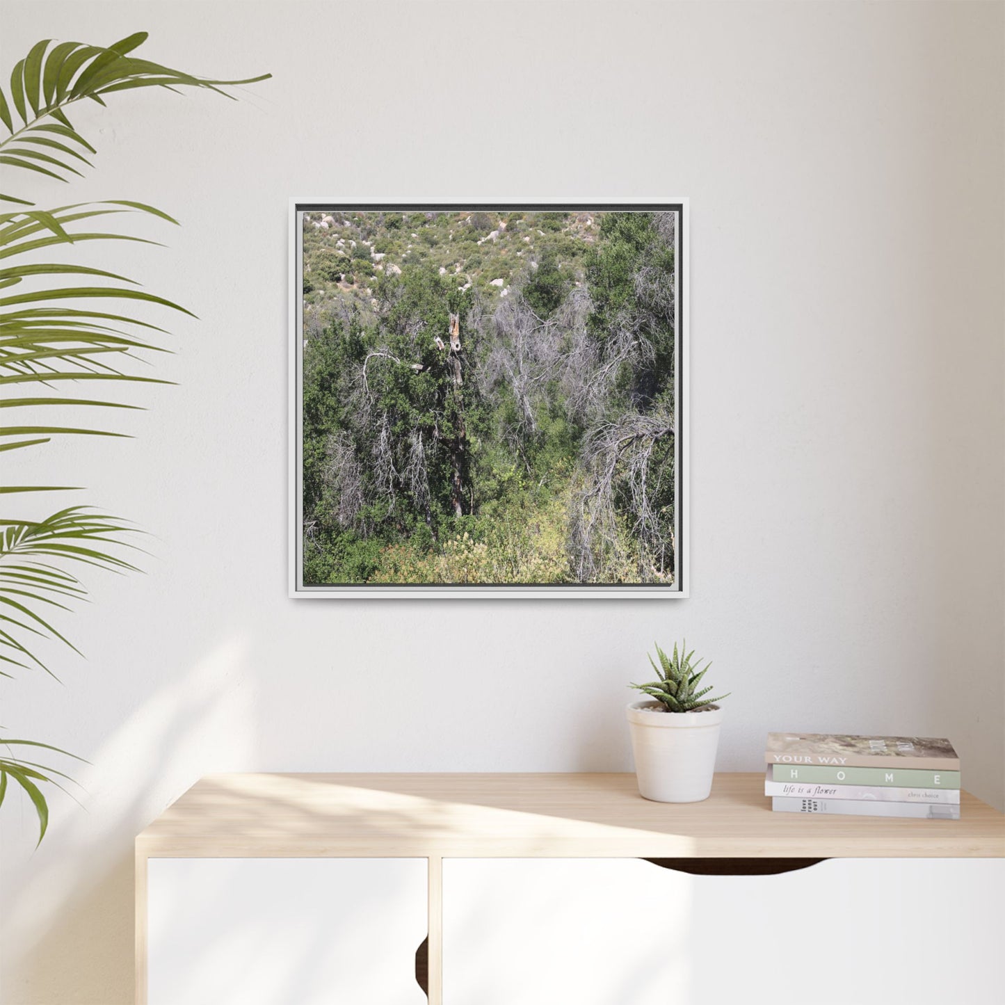 Forest Decline - Unique Stretched Canvas Wall Art