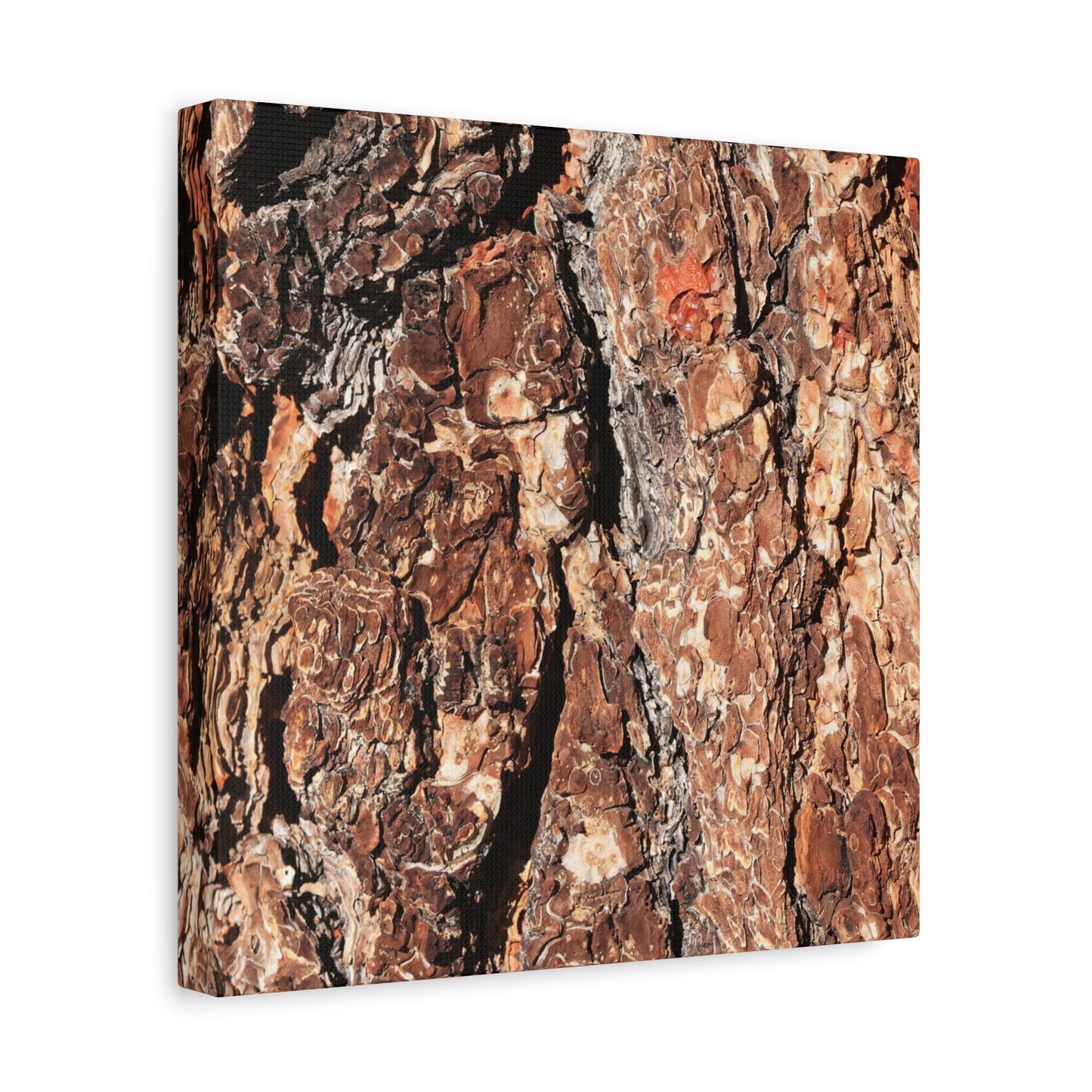 Russet Echoes - Unique Frameless Canvas Wall Art