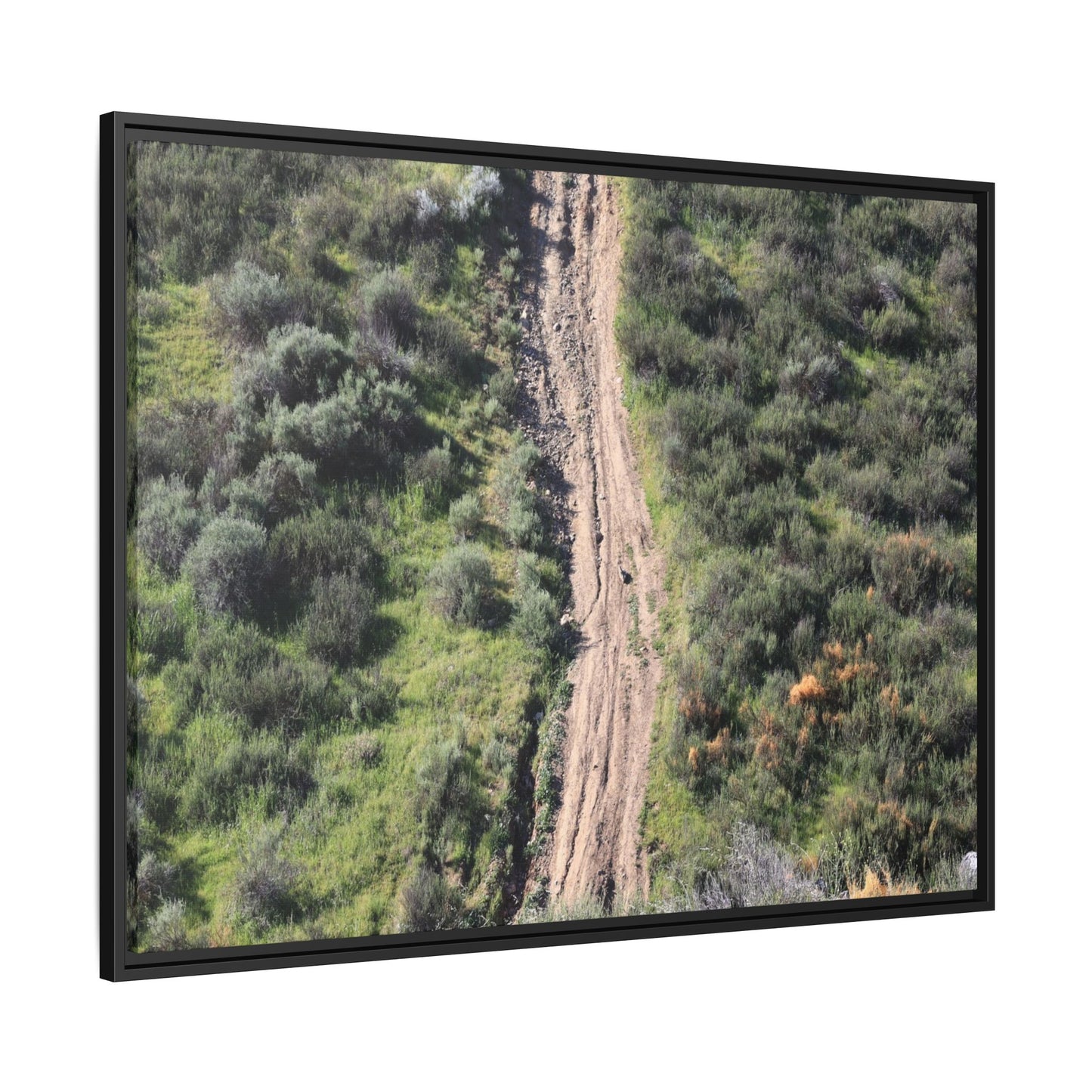 Desert Path Through Sage - Unique Stretched Canvas Wall Art - Art By Earth