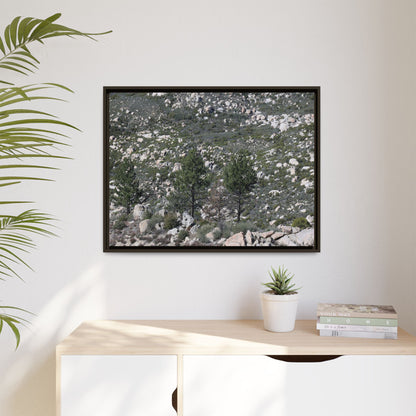 Rocky Hillside with Pine Trees - Unique Stretched Canvas Wall Art - Art By Earth
