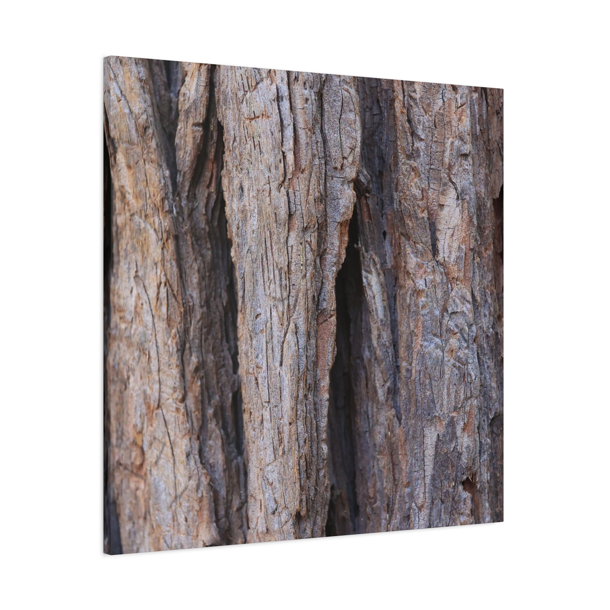 Fractal Skin - Unique Frameless Canvas Wall Art - Art By Earth