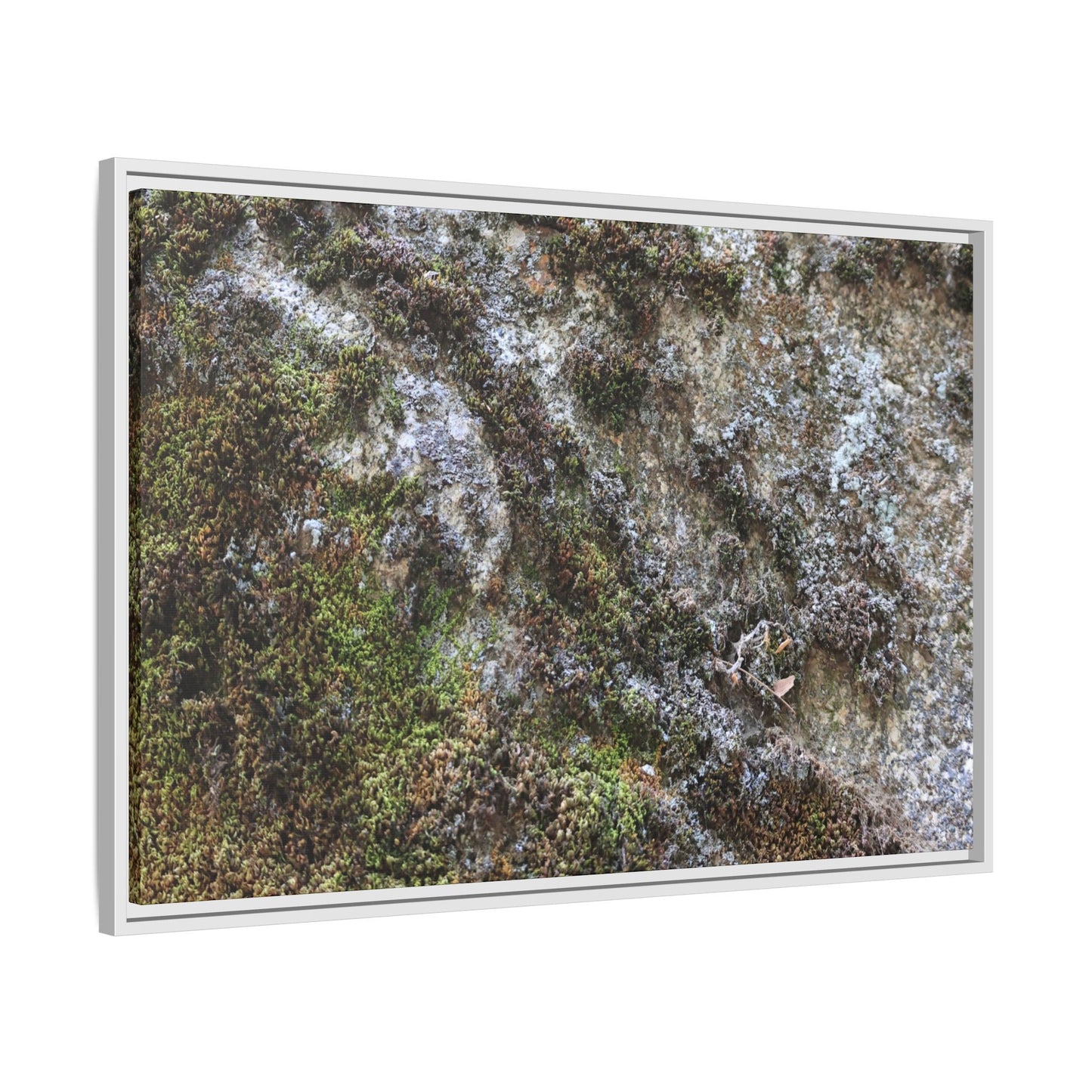 Mossy Whispers - Unique Stretched Canvas Wall Art - Art By Earth