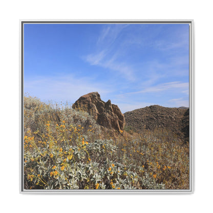 Golden Flowers in Arid Landscape - Unique Stretched Canvas Wall Art - Art By Earth