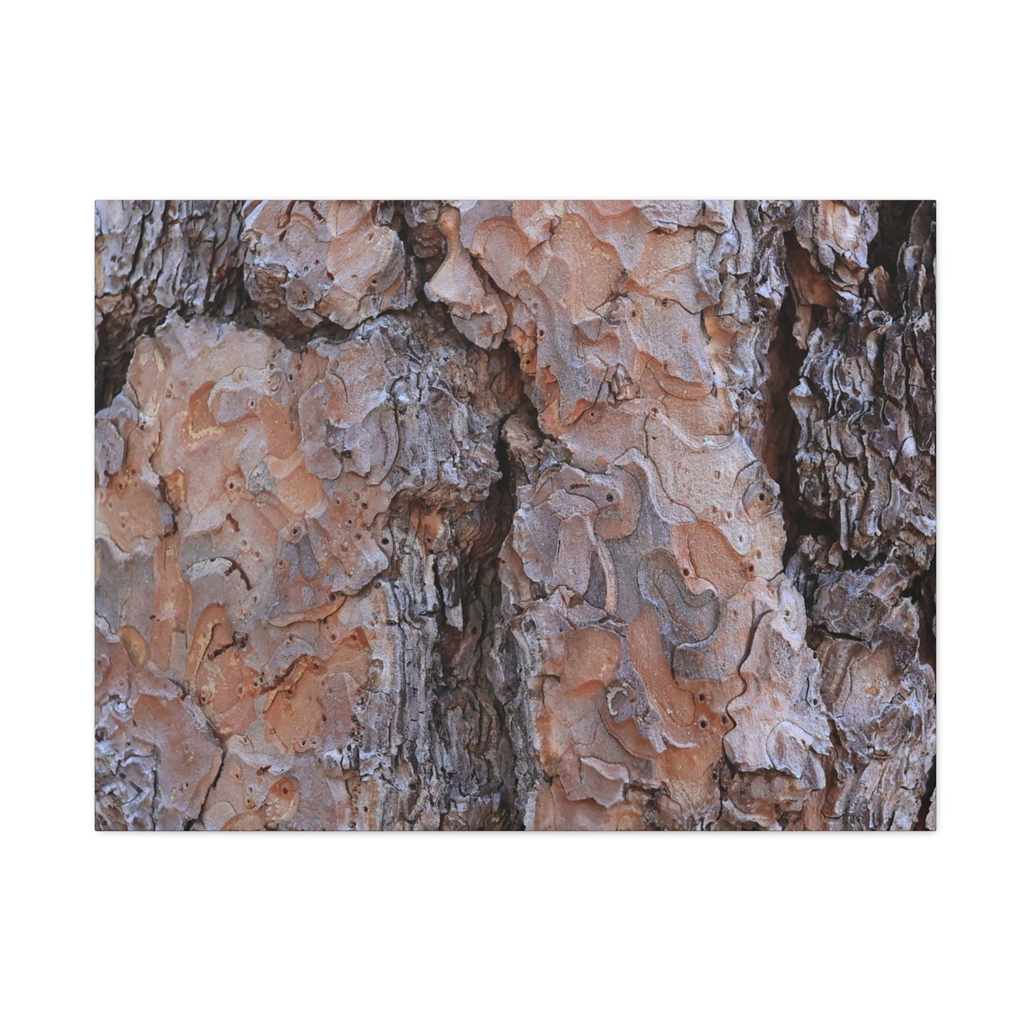 Arboreal Armor - Unique Frameless Canvas Wall Art - Art By Earth