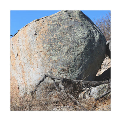 Boulder's Solitude - Unique Stretched Canvas Wall Art - Art By Earth