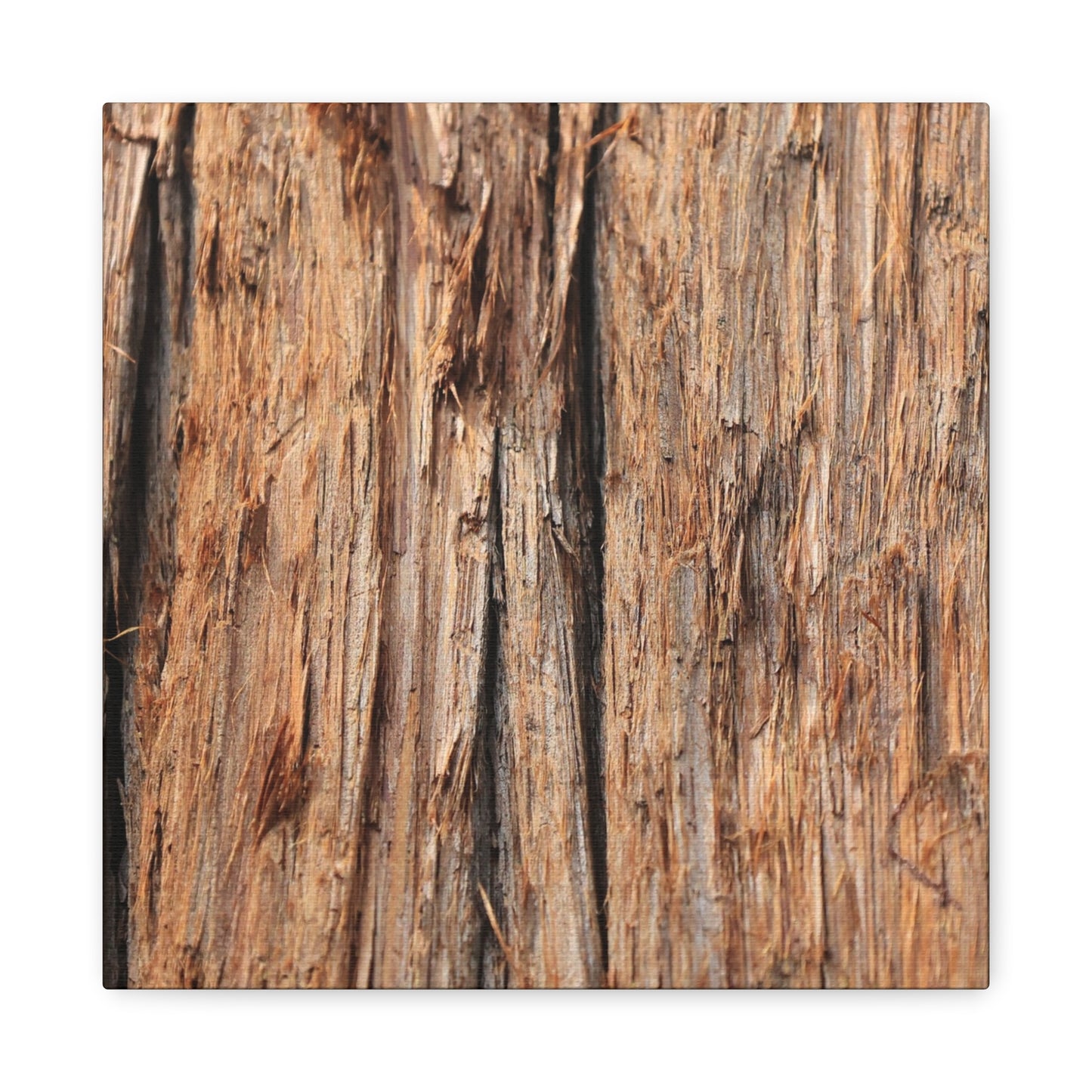 Woodland Echoes - Unique Frameless Canvas Wall Art - Art By Earth