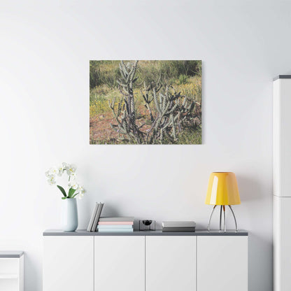 Desert Bloom in Shadow - Unique Frameless Canvas Wall Art - Art By Earth