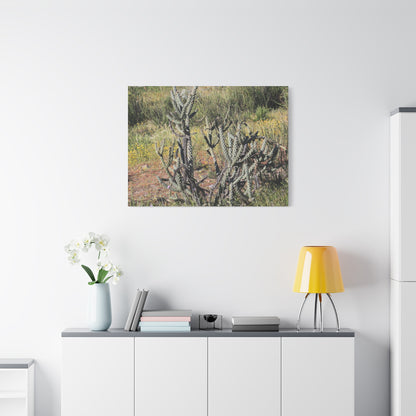 Desert Bloom in Shadow - Unique Frameless Canvas Wall Art - Art By Earth