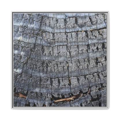 Charred Memories - Unique Stretched Canvas Wall Art - Art By Earth