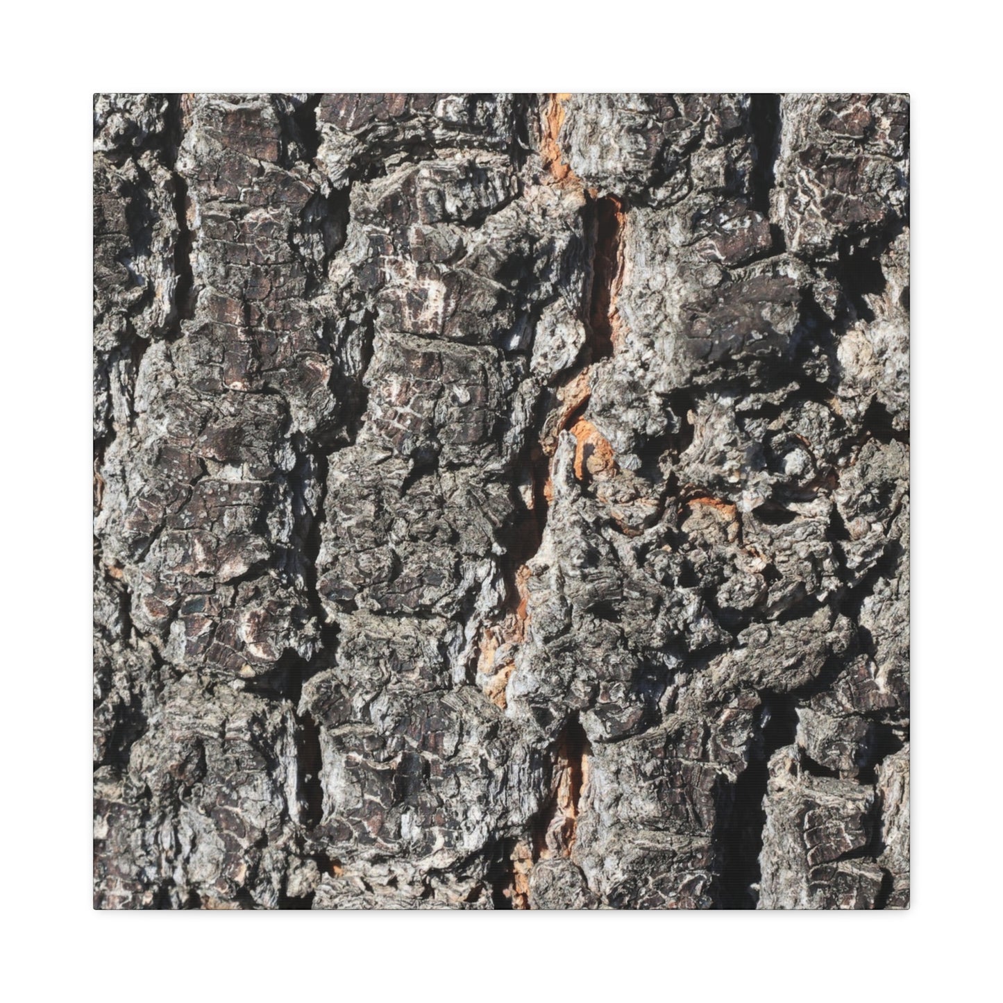 Arboreal Skin - Unique Frameless Canvas Wall Art - Art By Earth