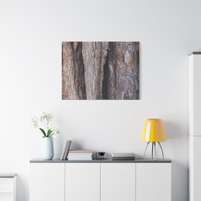 Fractal Skin - Unique Frameless Canvas Wall Art - Art By Earth