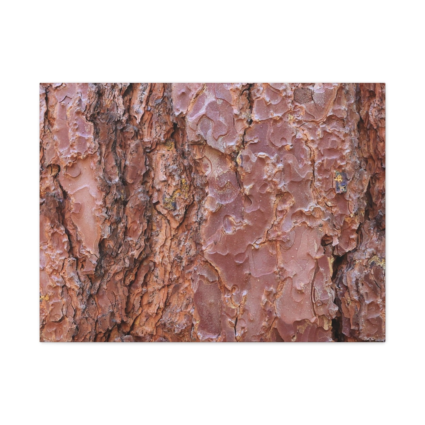 Rusty Textures - Unique Frameless Canvas Wall Art - Art By Earth