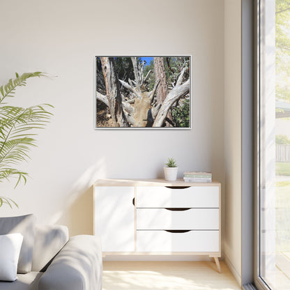 Forest Sentinels - Unique Stretched Canvas Wall Art
