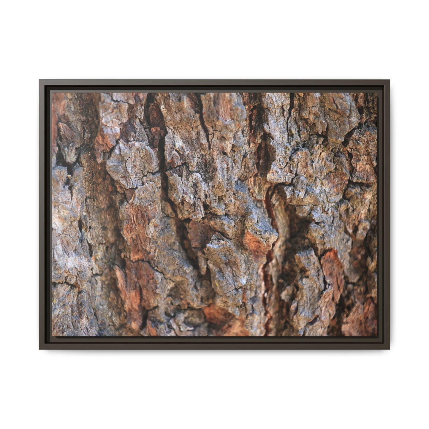 Craggy Textures - Unique Stretched Canvas Wall Art - Art By Earth