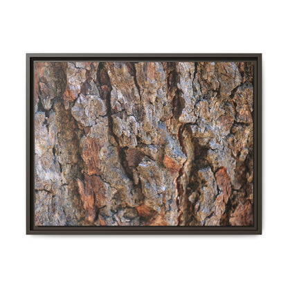 Craggy Textures - Unique Stretched Canvas Wall Art - Art By Earth