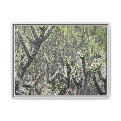 Prickly Paradise - Unique Stretched Canvas Wall Art - Art By Earth
