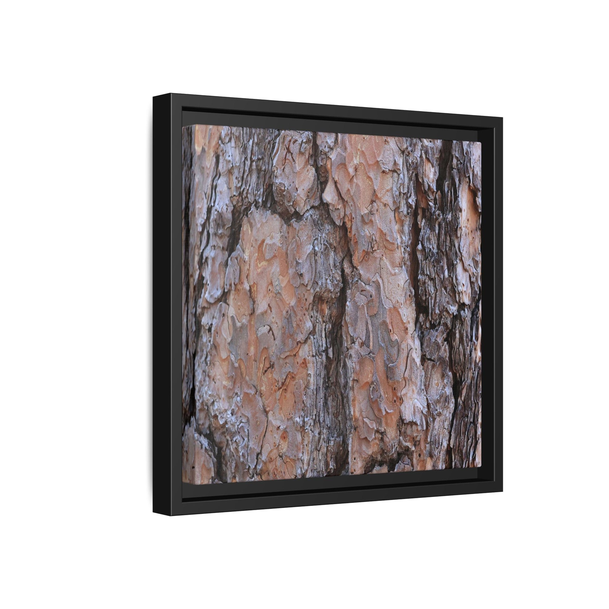 Tree Skin Symphony - Unique Stretched Canvas Wall Art - Art By Earth