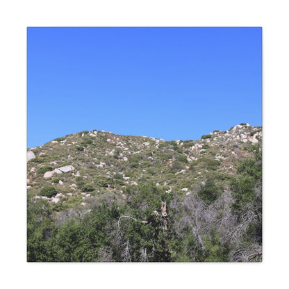 Rocky Hills with Desert Vegetation - Unique Frameless Canvas Wall Art
