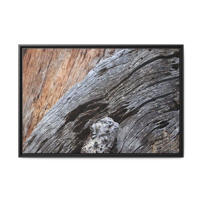 Time's Mark on Timber - Unique Stretched Canvas Wall Art - Art By Earth