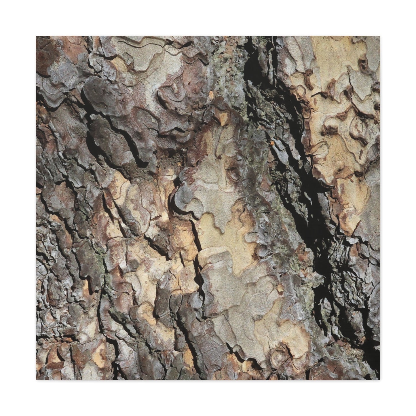 Tree Bark Symphony - Unique Frameless Canvas Wall Art - Art By Earth