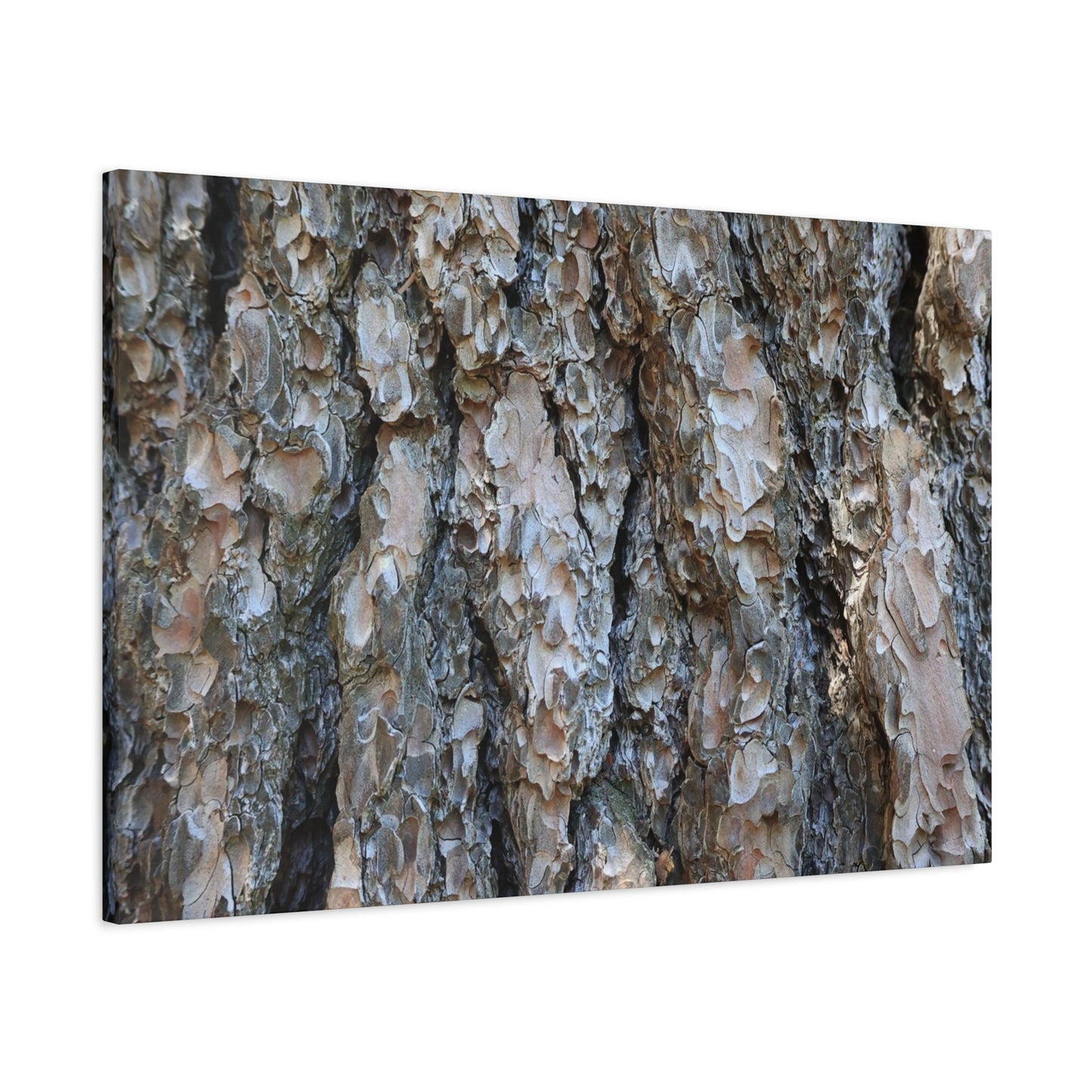 Elemental Tapestry - Unique Frameless Canvas Wall Art - Art By Earth