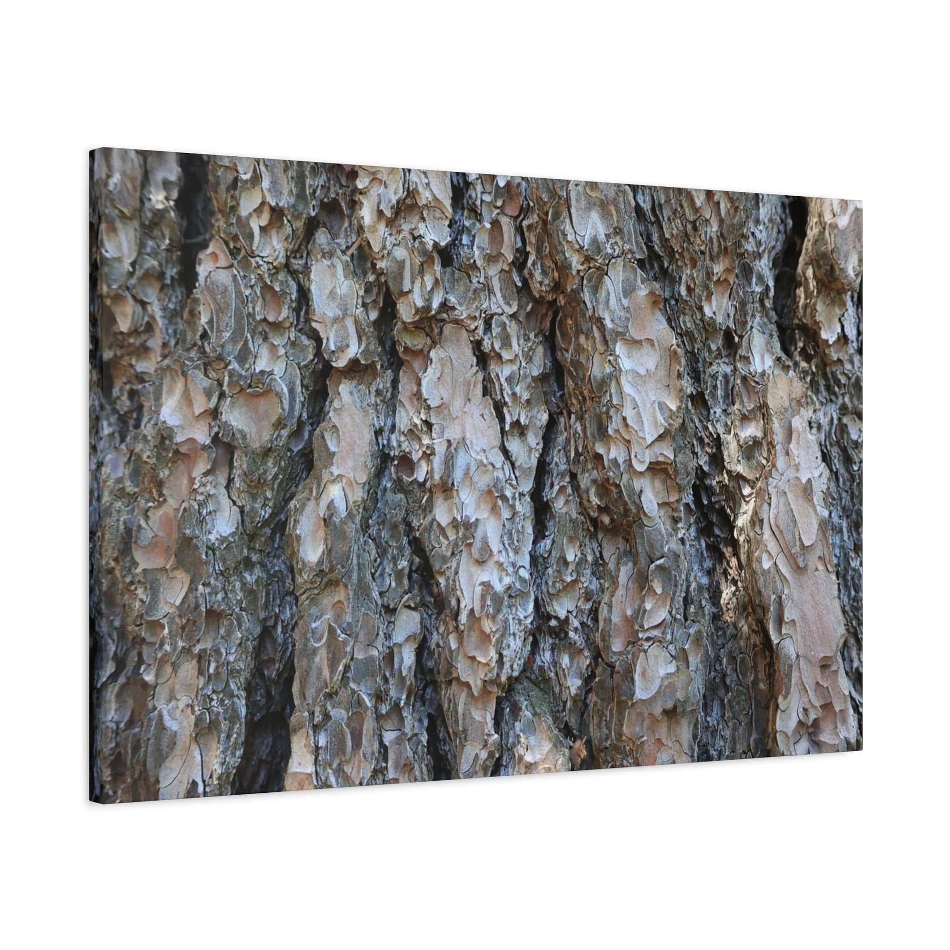 Elemental Tapestry - Unique Frameless Canvas Wall Art - Art By Earth