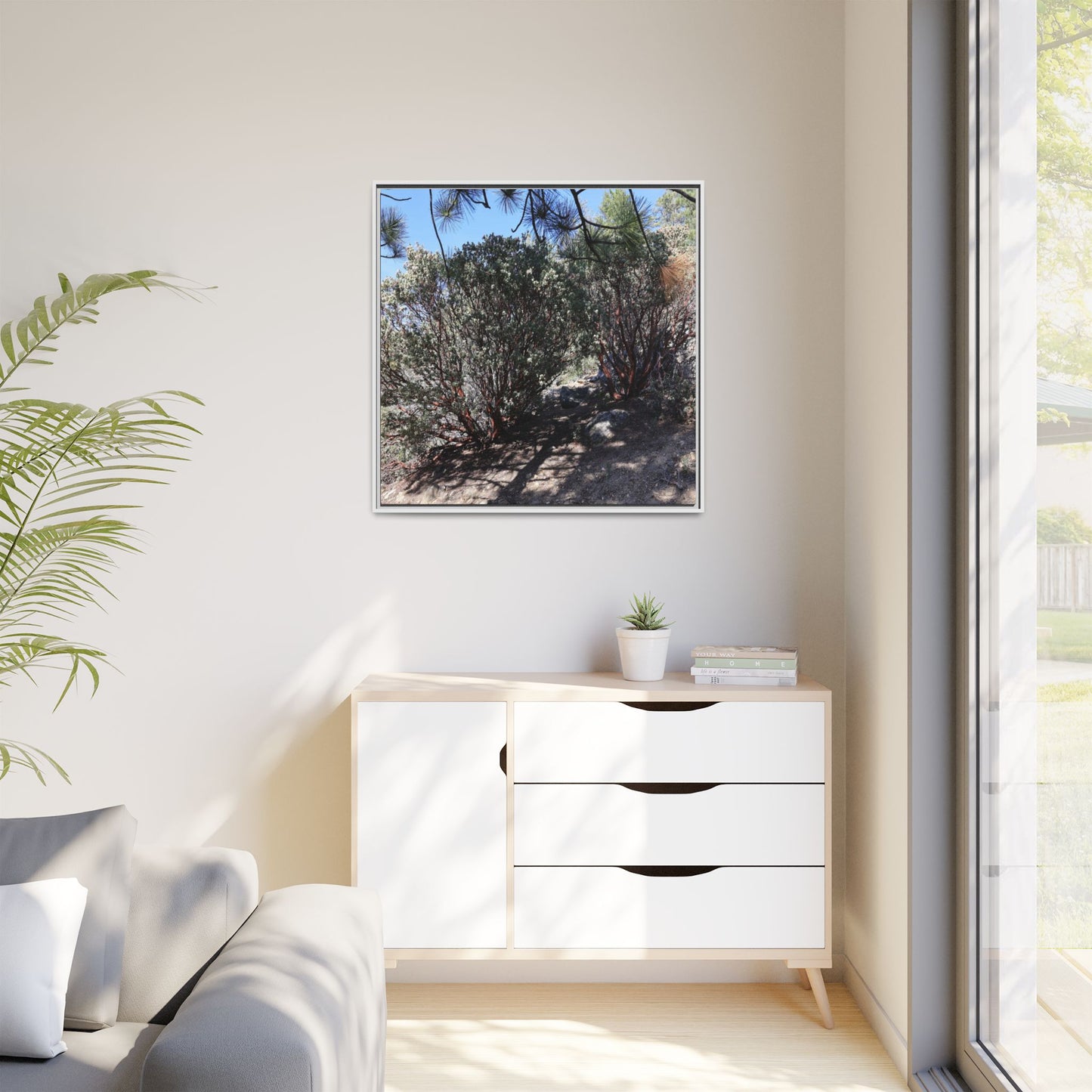 Desert Trail Through Blooming Manzanita - Unique Stretched Canvas Wall Art