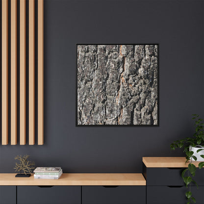 Aged Beauty - Unique Stretched Canvas Wall Art - Art By Earth