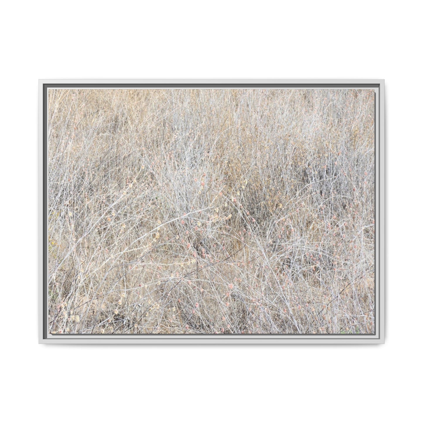 Faded Memories - Unique Stretched Canvas Wall Art - Art By Earth