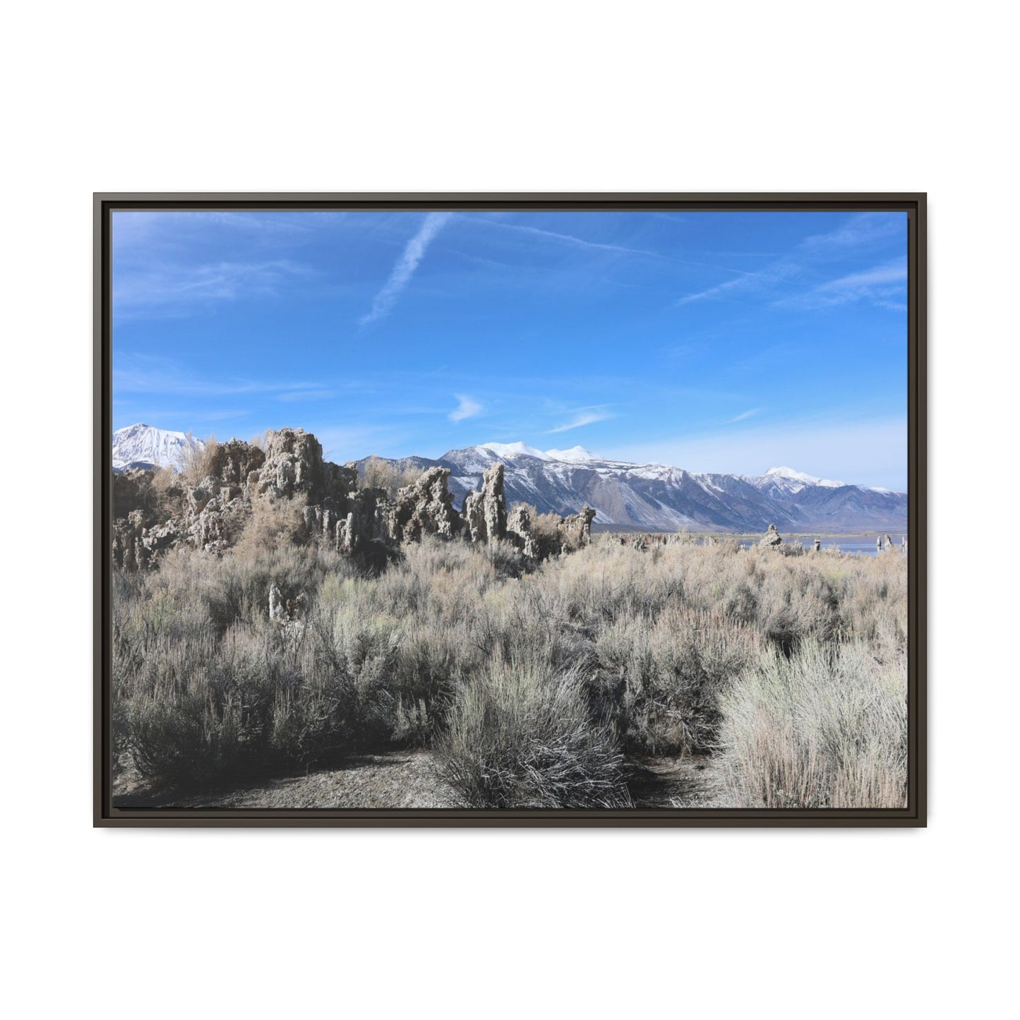 Whispers of the Sagebrush Steppe - Unique Stretched Canvas Wall Art