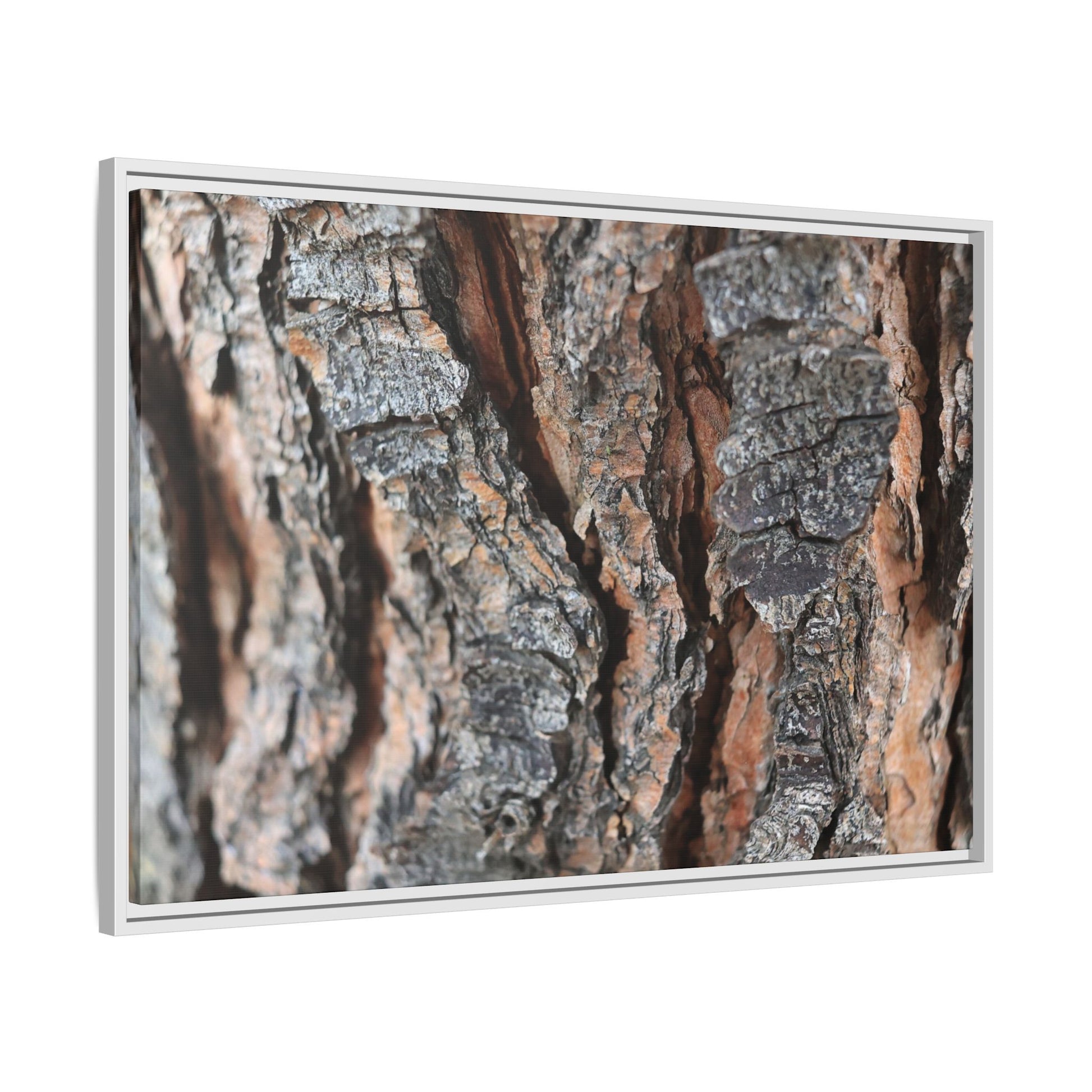 Fractured Nature - Unique Stretched Canvas Wall Art - Art By Earth