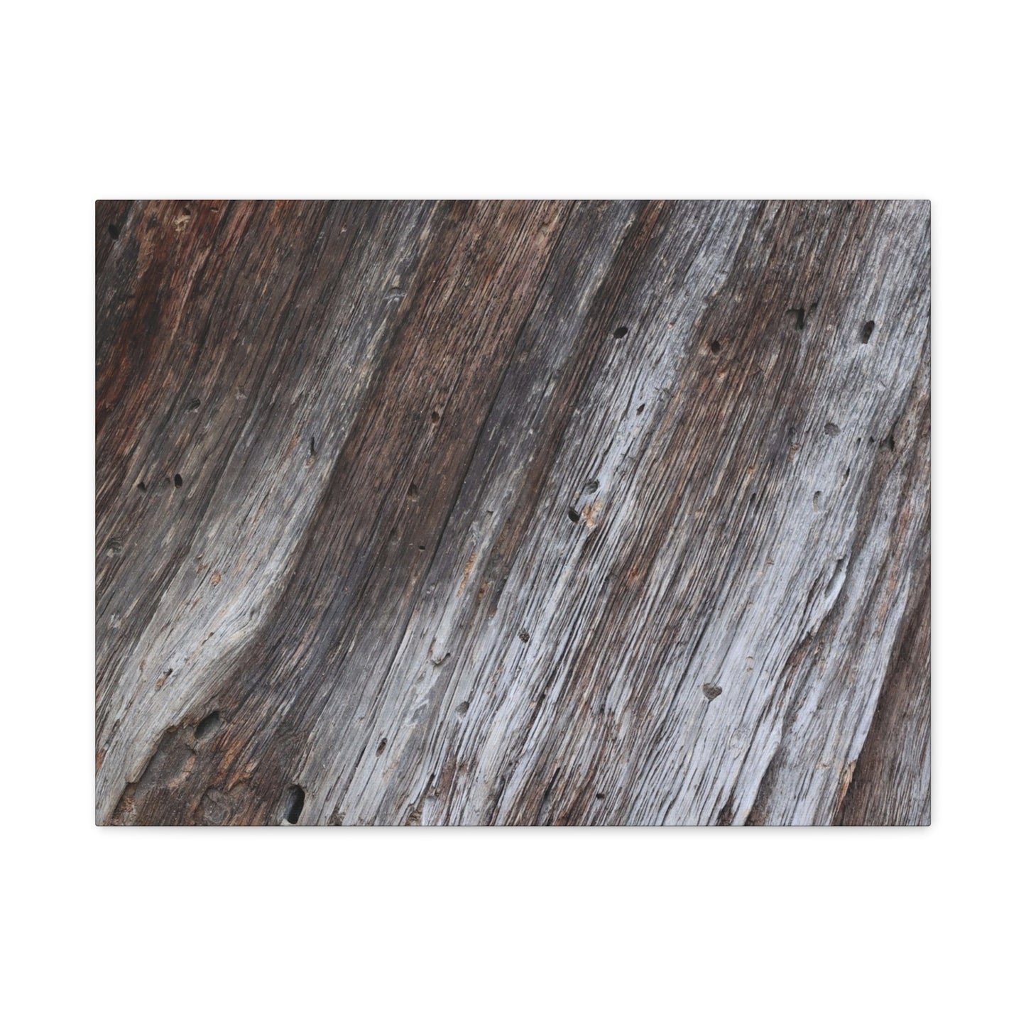 Aged Planks - Unique Frameless Canvas Wall Art - Art By Earth