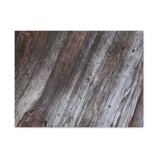 Aged Planks - Unique Frameless Canvas Wall Art - Art By Earth