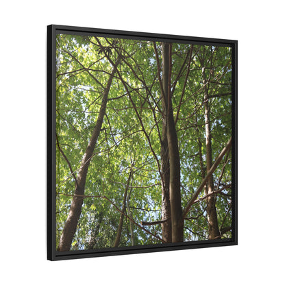 Forest Branches - Unique Stretched Canvas Wall Art