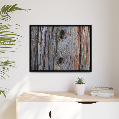 Knotty Nature - Unique Stretched Canvas Wall Art - Art By Earth