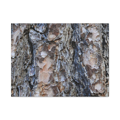 Arboreal Patterns - Unique Frameless Canvas Wall Art - Art By Earth