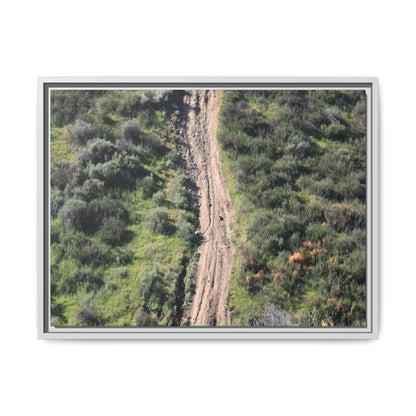 Desert Path Through Sage - Unique Stretched Canvas Wall Art - Art By Earth