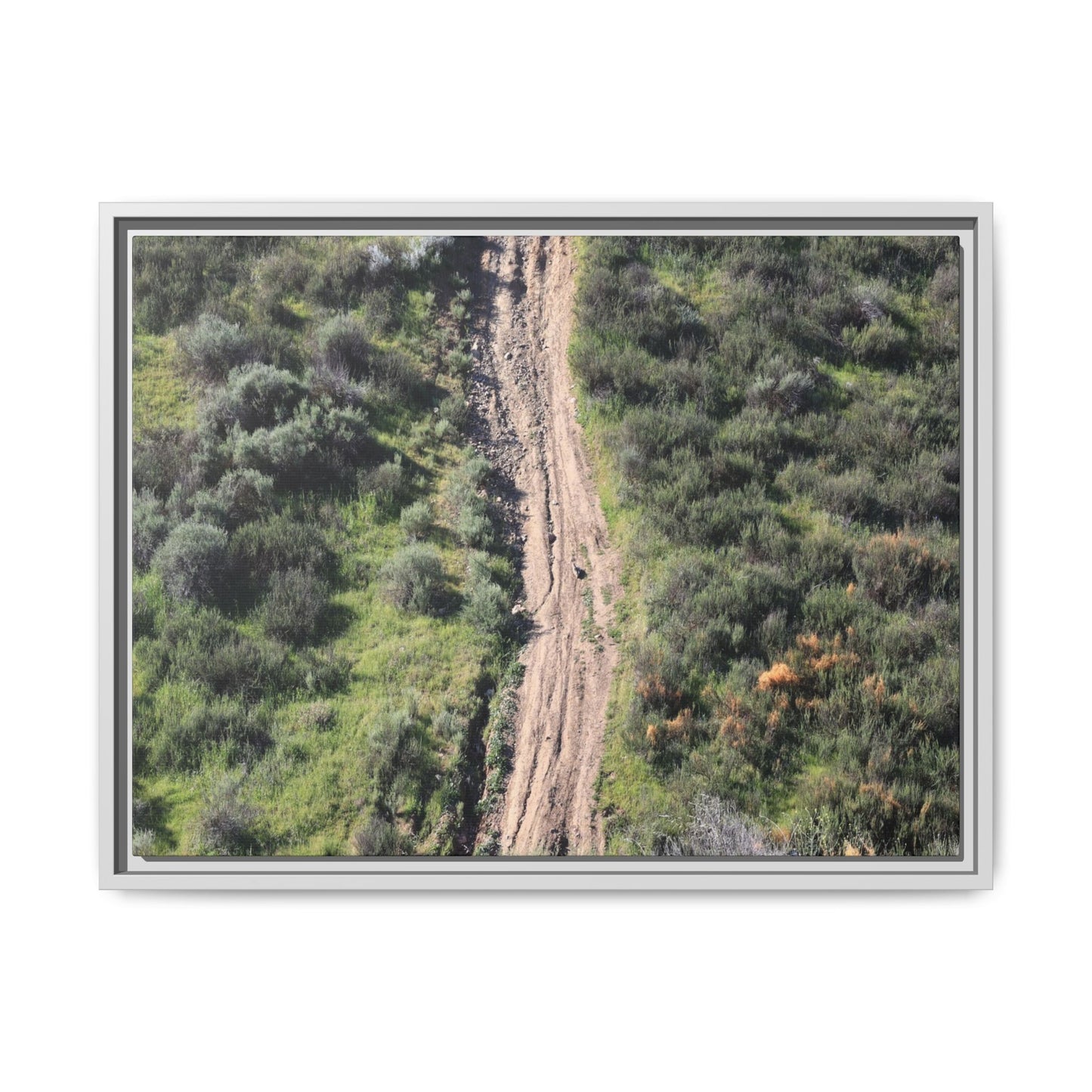 Desert Path Through Sage - Unique Stretched Canvas Wall Art - Art By Earth