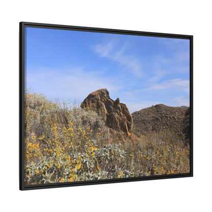 Golden Flowers in Arid Landscape - Unique Stretched Canvas Wall Art - Art By Earth