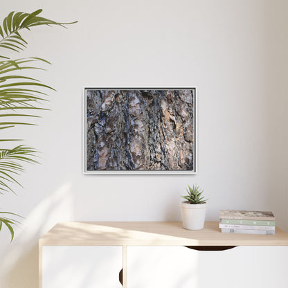 Weathered Patterns - Unique Stretched Canvas Wall Art - Art By Earth