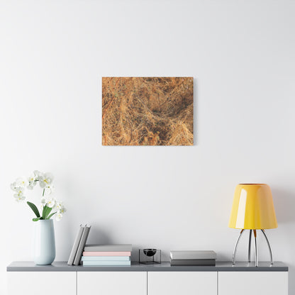 Dried Grasses - Unique Frameless Canvas Wall Art - Art By Earth