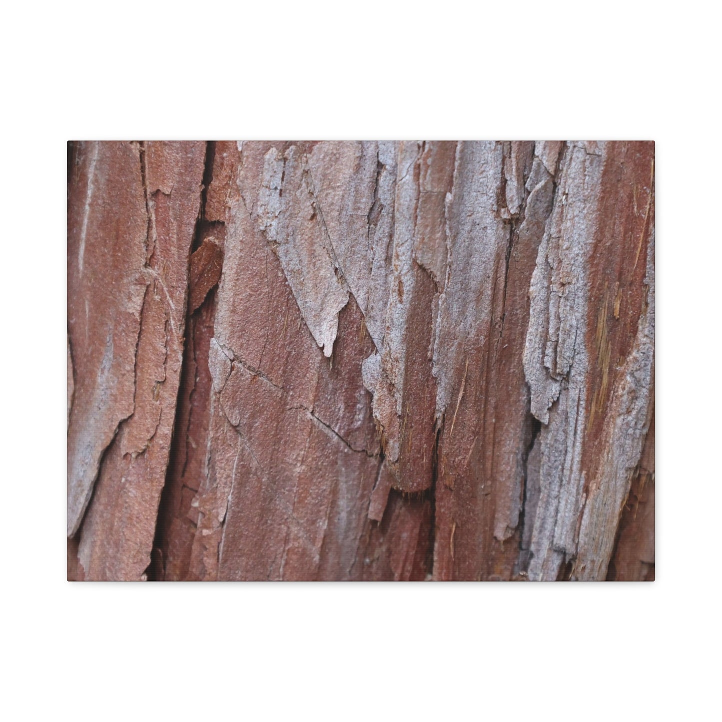 Peeling Paint - Unique Frameless Canvas Wall Art - Art By Earth