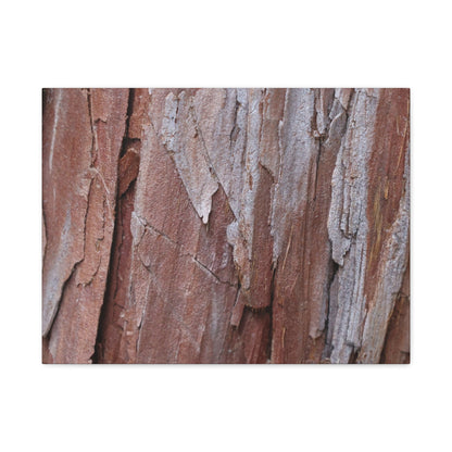 Peeling Paint - Unique Frameless Canvas Wall Art - Art By Earth